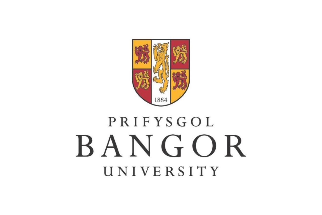 BANGOR University Logo